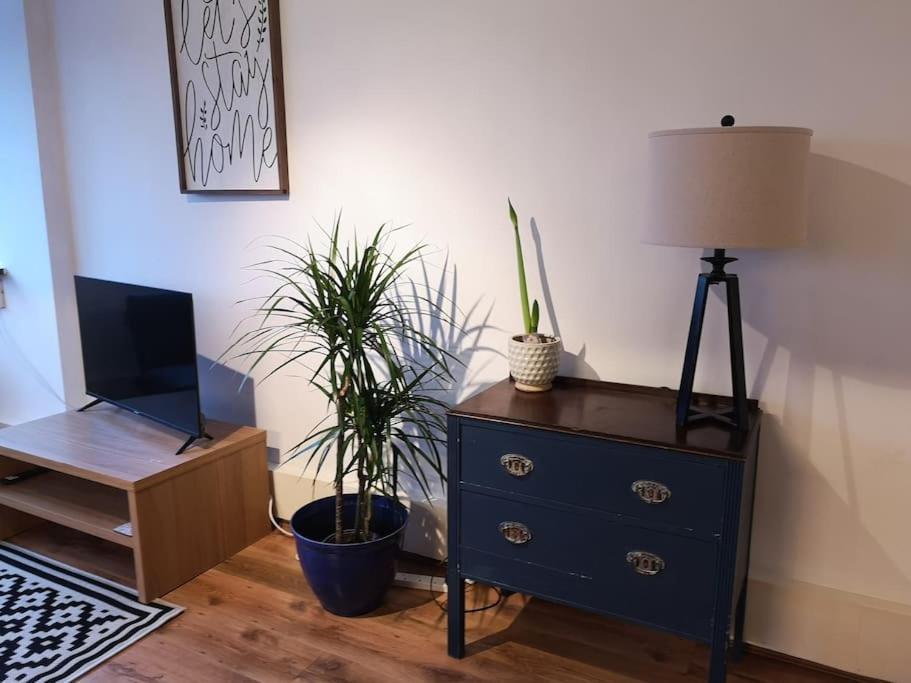 2 Bed Flat, Bounds Green, Piccadilly Line, London N11 Dış mekan fotoğraf
